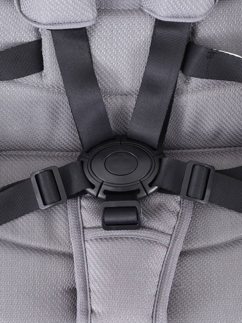 Коляска 2 в 1 Rant Basic Nexus Cloudburst