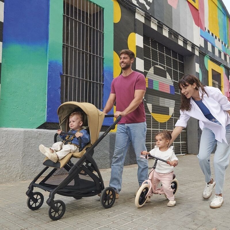 Прогулочная коляска Inglesina Electa , Murray Green