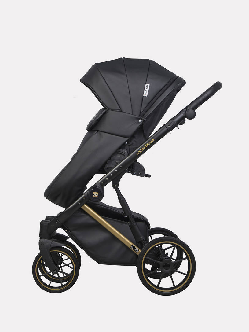 Коляска 2 в 1 Riko Basic Montana Premium Gold 02