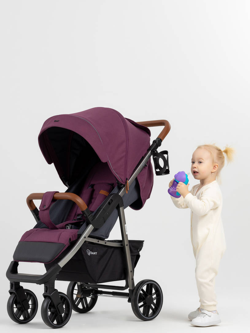 Коляска прогулочная Rant Vega 2023 Purple