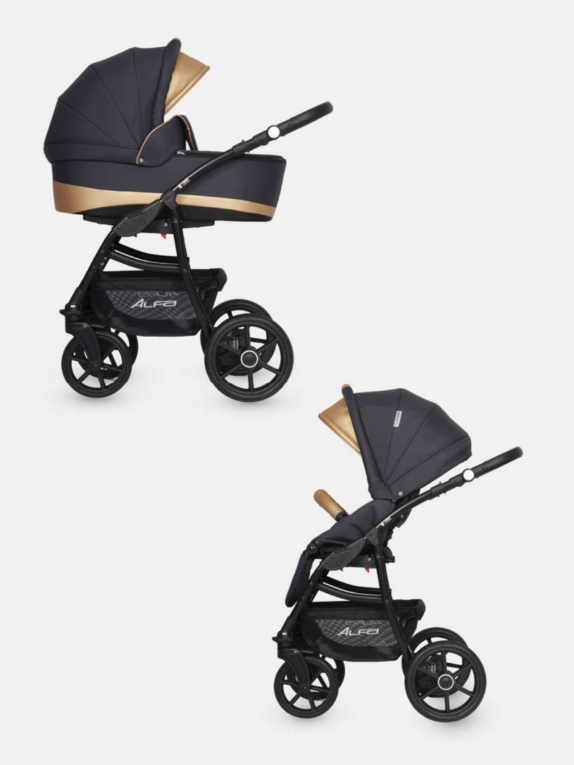 Коляска 2 в 1 Riko Basic Alfa Ecco 02 черно-золотистый