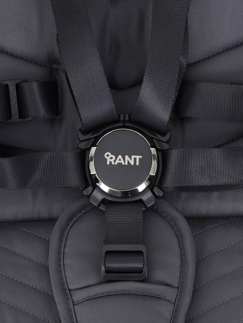 Коляска 2 в 1 RANT FLEX PRO 2023 RA074 GREEN