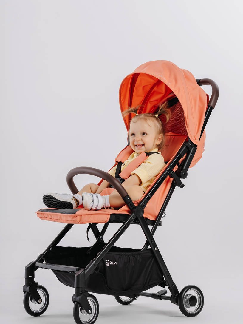 Коляска прогулочная Rant Action Cloud pink