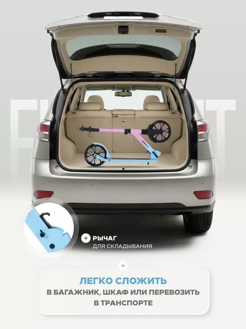 Самокат 2-колесный Rant Element PRO Blue-pink
