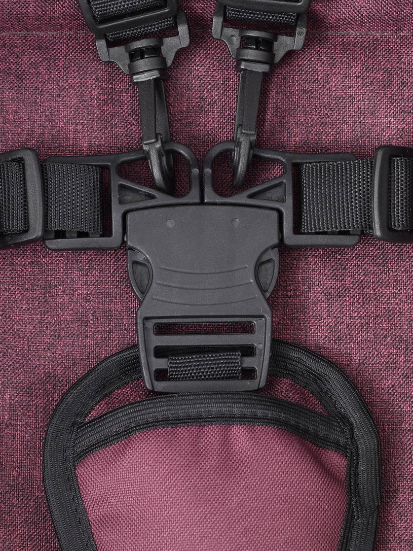 Коляска 3 в 1 Rant Patio Purple