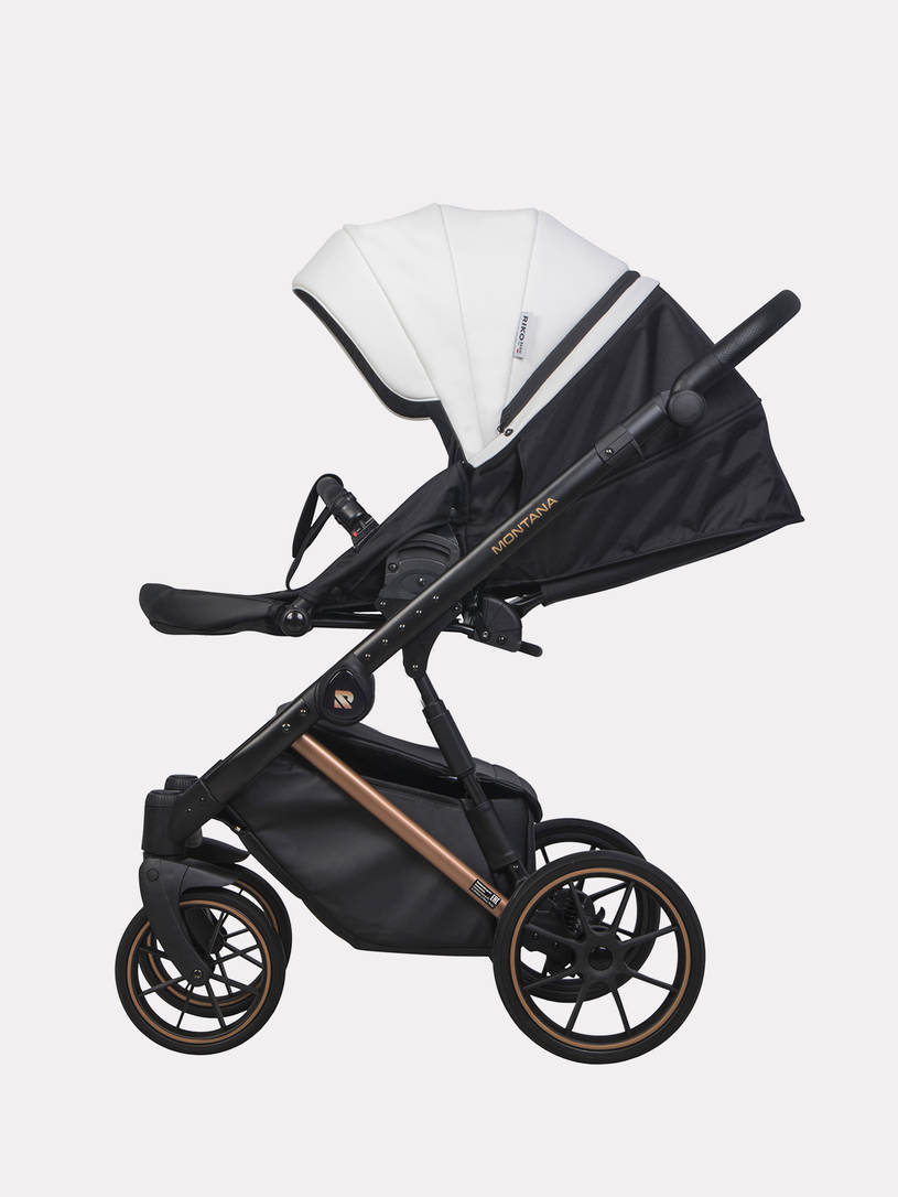 Коляска 2 в 1 Riko Basic Montana Premium Silver 21