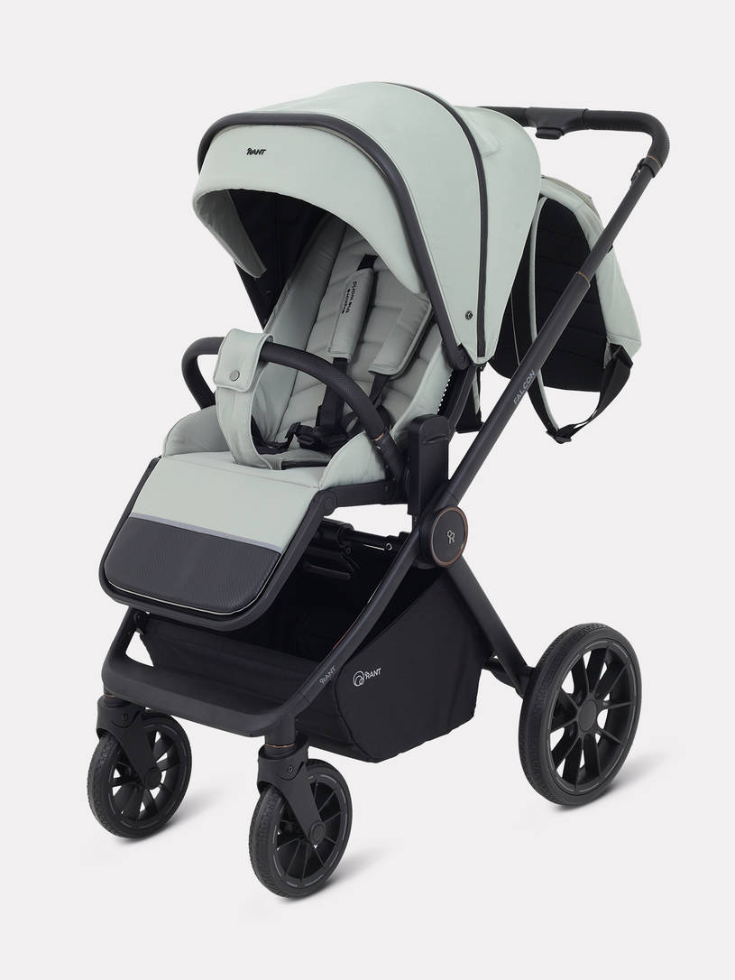 Коляска 2 в 1 Rant Falcon Neo Sage