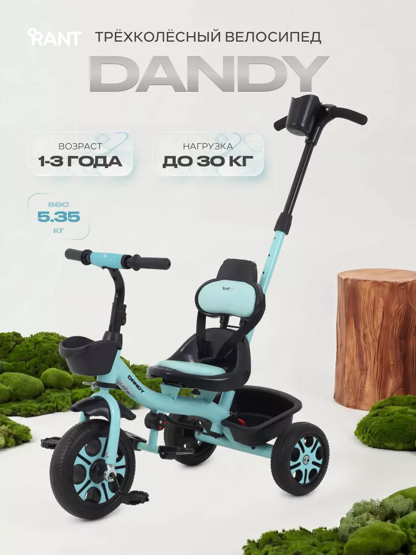 Велосипед 3-х колесный Rant Basic Dandy Mint