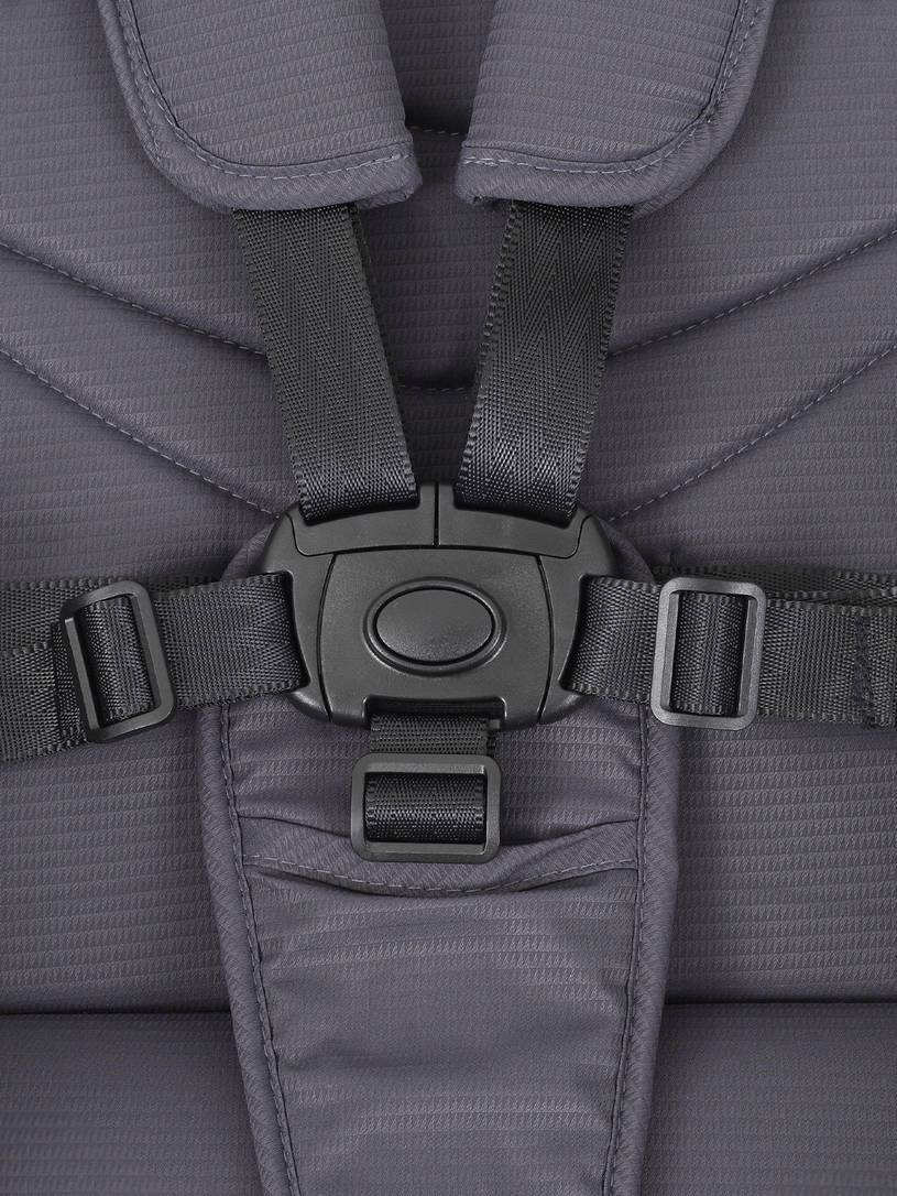 Коляска 2 в 1 Rant Moss 2025 Graphite