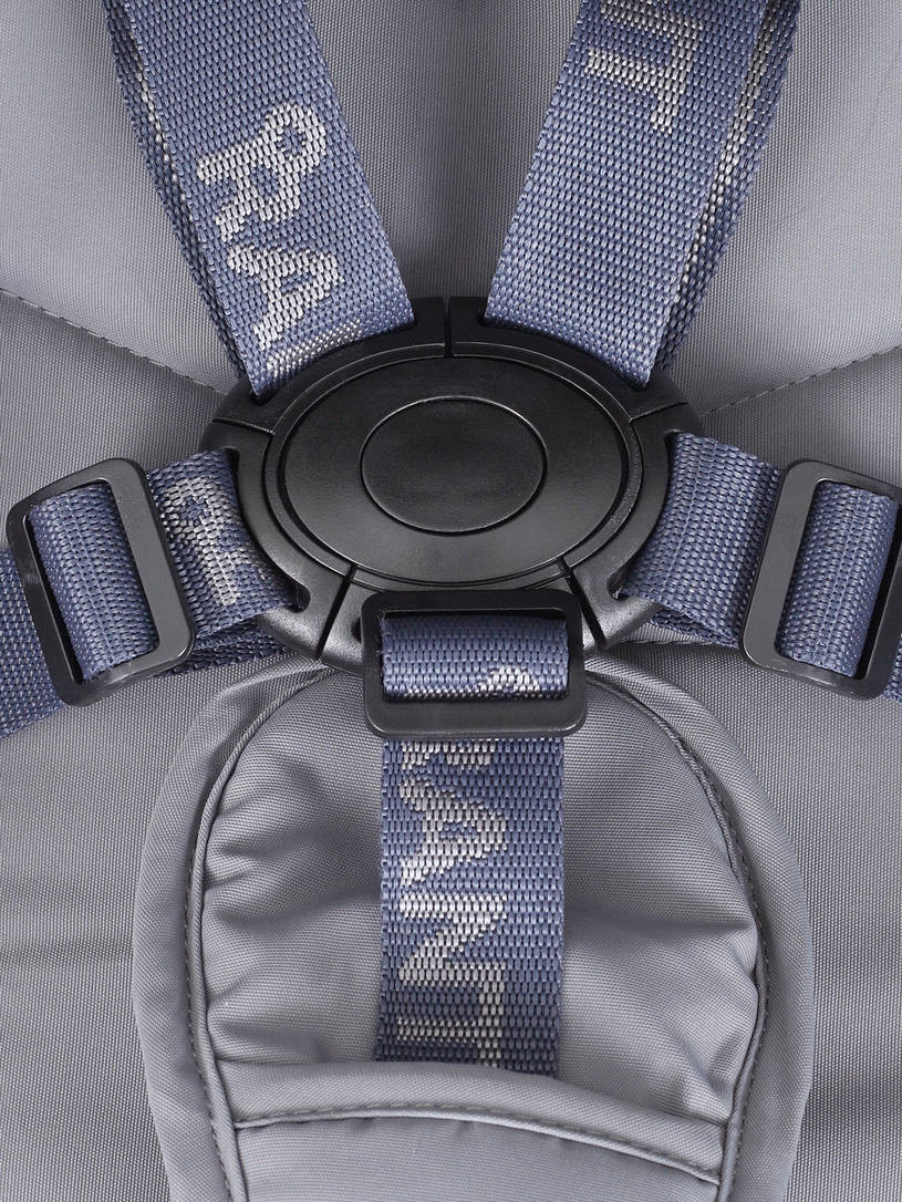 Коляска прогулочная Rant Flex 2025 RA078 Grey