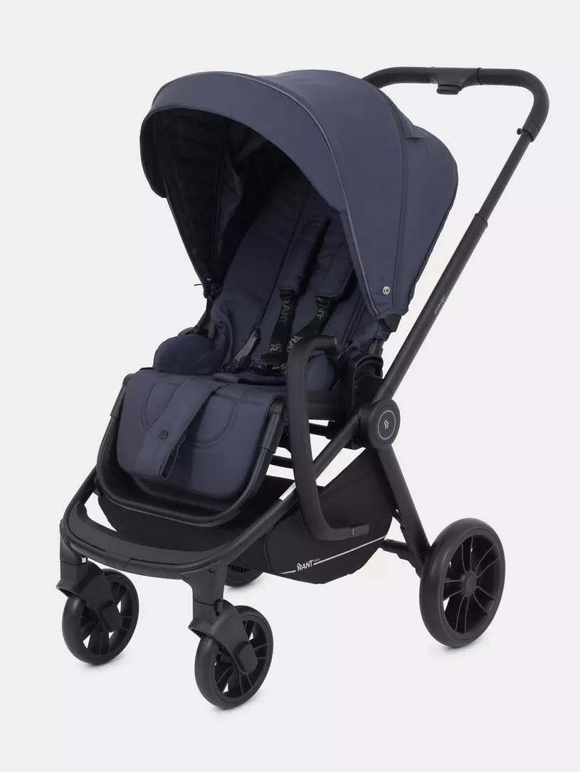 Коляска 2 в 1 Rant Basic Energy Graphite