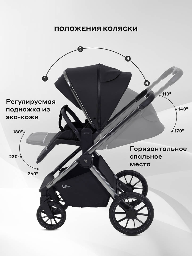 Коляска 2 в 1 Rant Falcon Therm Black