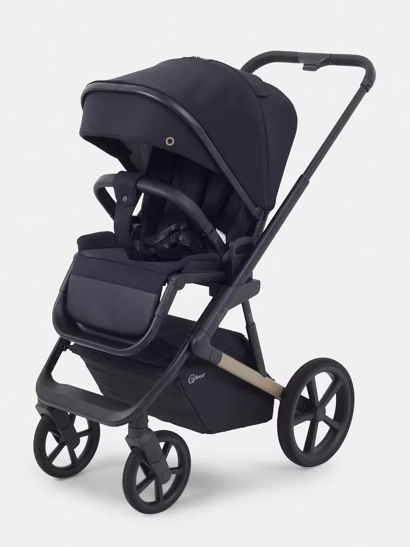 Коляска 2 в 1 Rant Garda Black