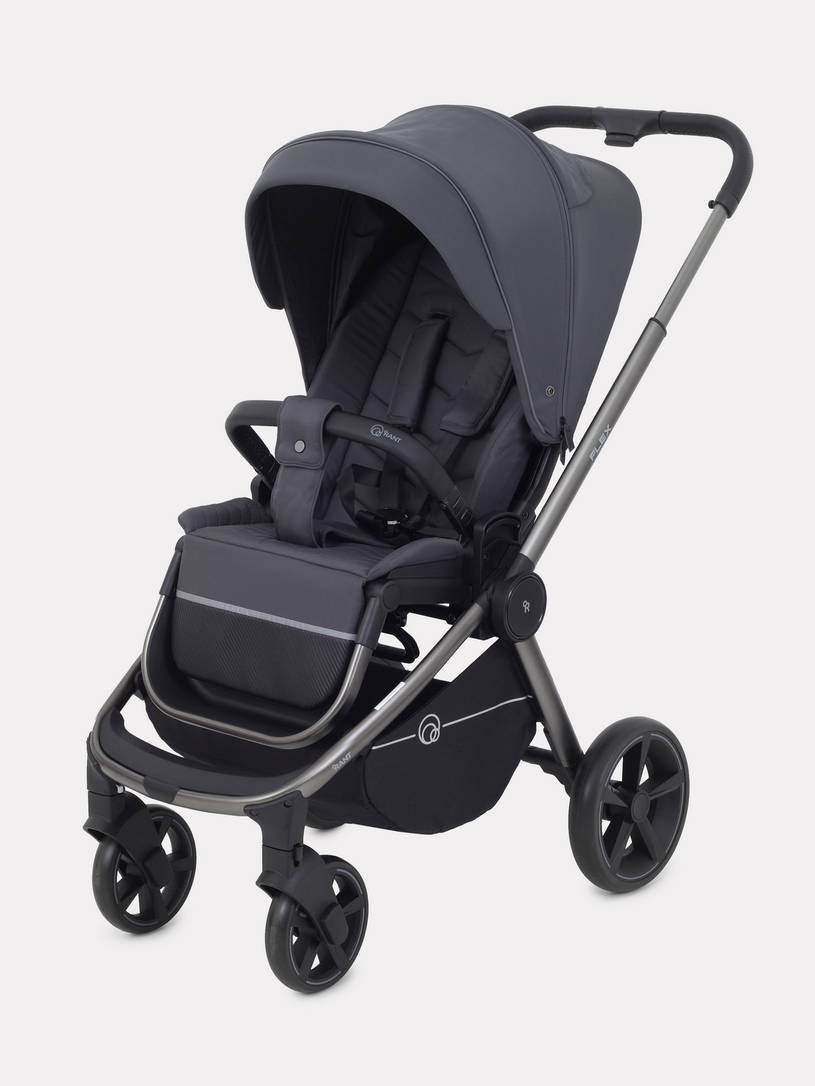 Коляска прогулочная Rant Flex Pro 2023 RA099 Graphite