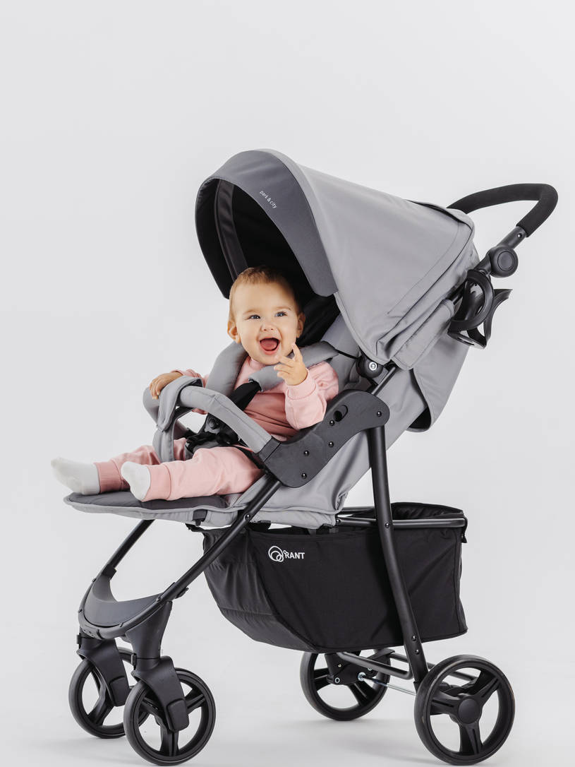 Коляска прогулочная Rant Basic Kira Grey 2024