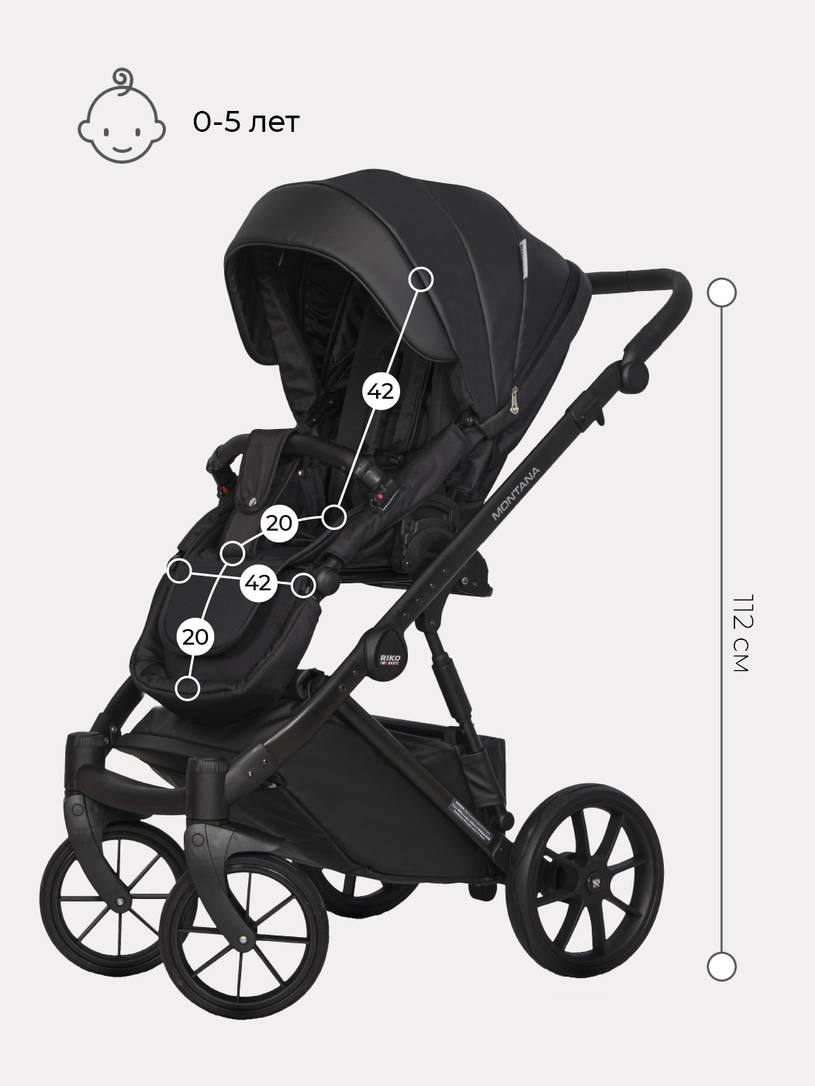 Коляска 2 в 1 Riko Basic Montana Ecco 12 Black черный