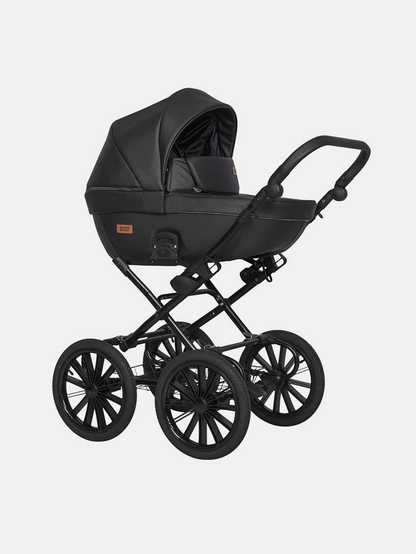 Коляска 2 в 1 Riko Basic Aicon Ecco Prestige 01 черный