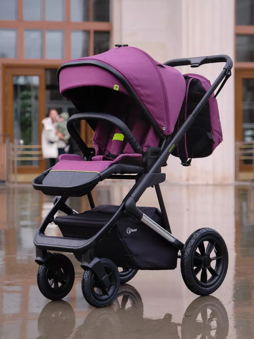 КОЛЯСКА 2 В 1 RANT AXIOM PURPLE