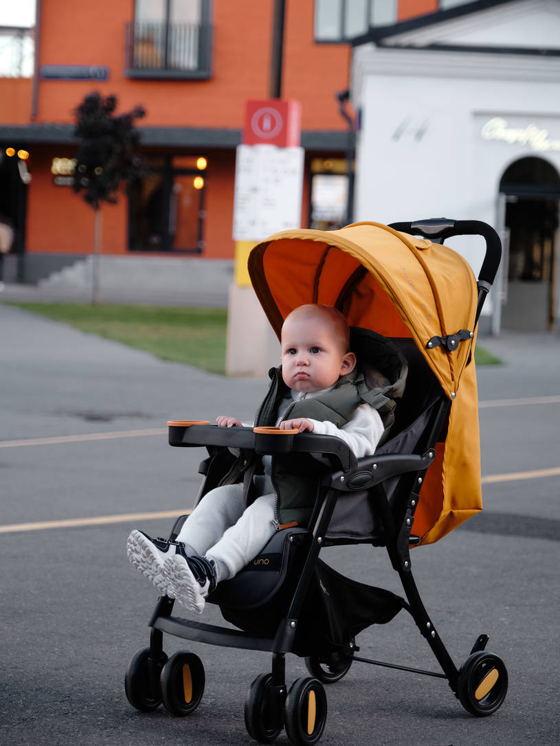 Коляска прогулочная Rant Basic Uno Desert Beige