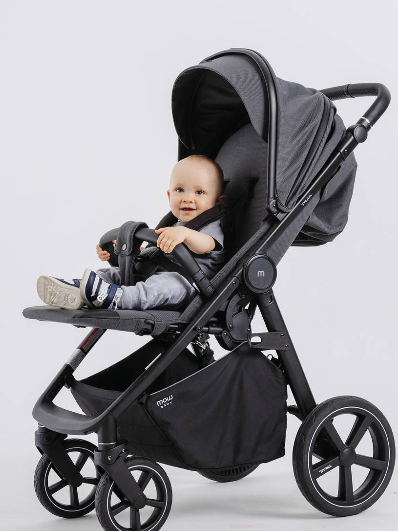 Коляска прогулочная Mowbaby Trail Carbon