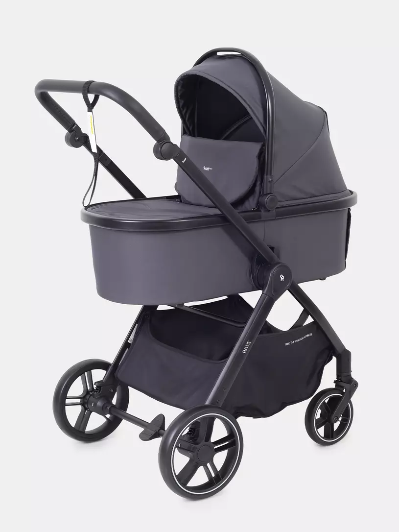 Коляска 2 в 1 Rant Basic Wave Graphite