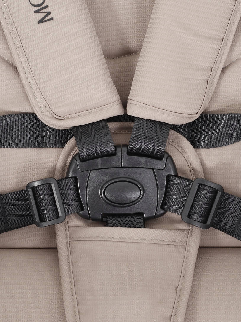 Коляска 2 в 1 Rant Moss 2025 Coffee