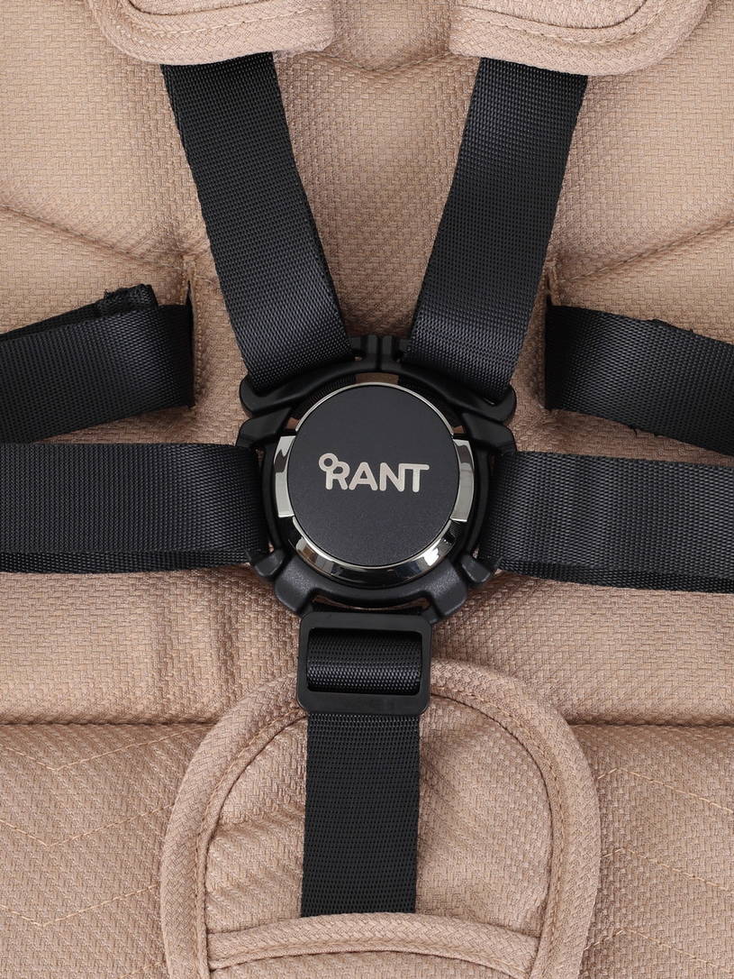 Коляска прогулочная Rant Flex Pro 2023 RA099 Beige