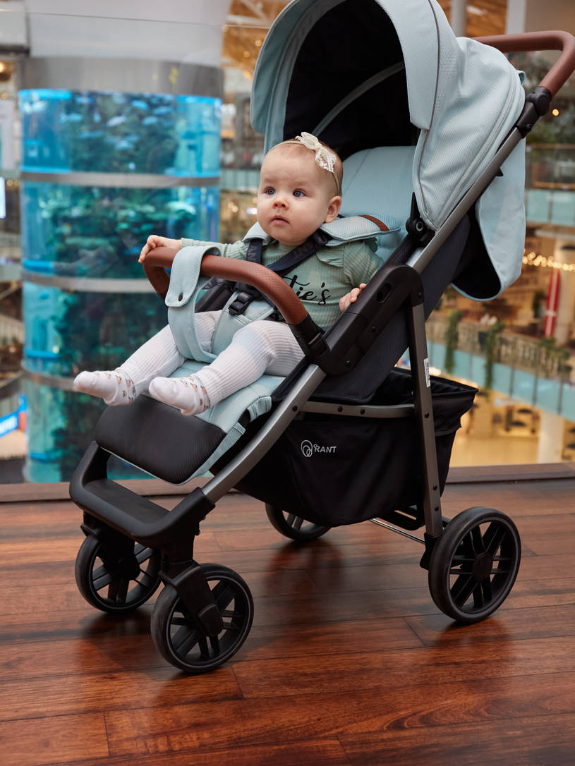 Коляска прогулочная Rant Vega 2023 Blue