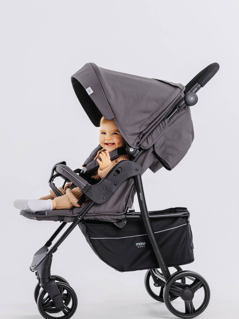 Коляска прогулочная Mowbaby Cross 2024 carbon