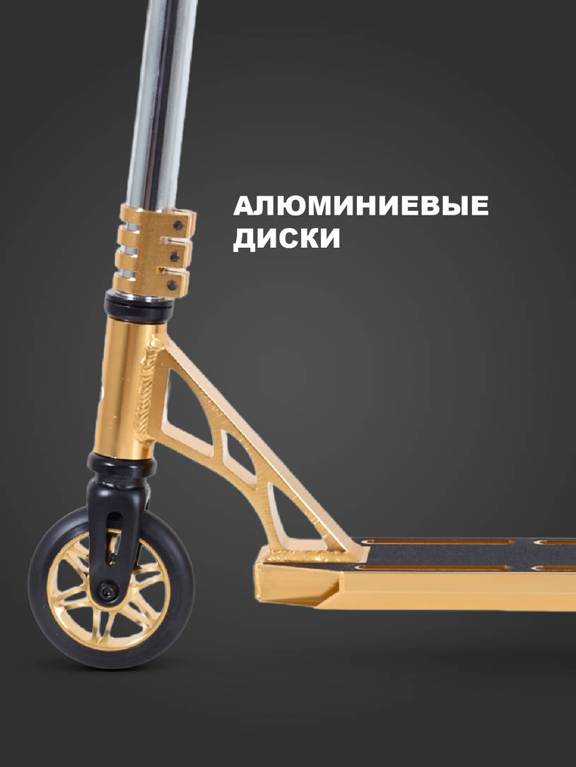 Самокат 2-колесный трюковой Rant Venom Silver electric