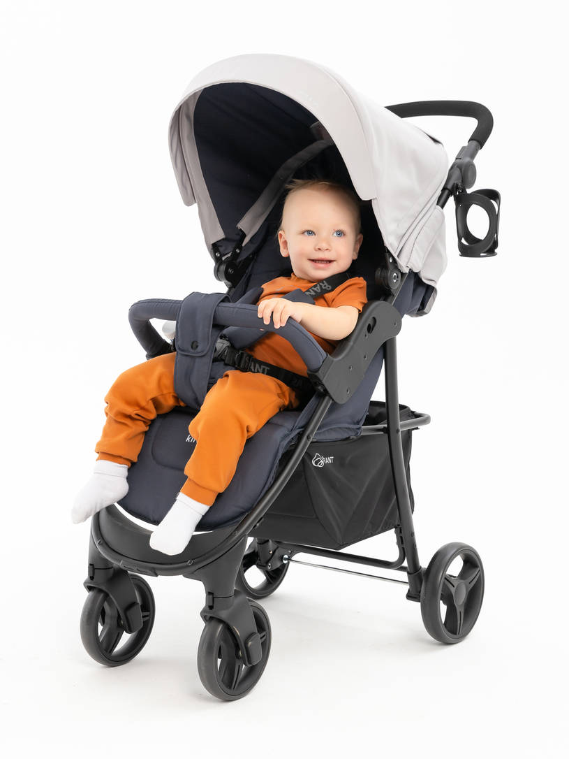 Коляска прогулочная Rant Basic Kira Grey