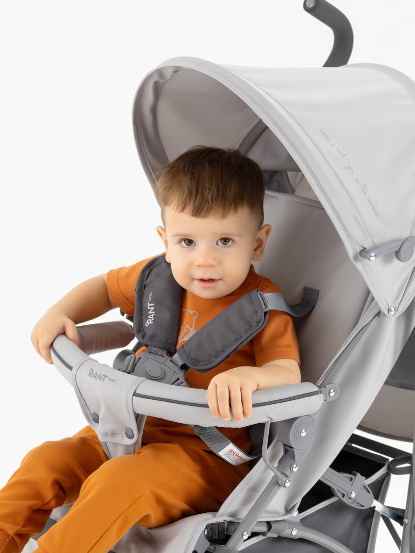Коляска прогулочная Rant Basic Tango Silver Grey