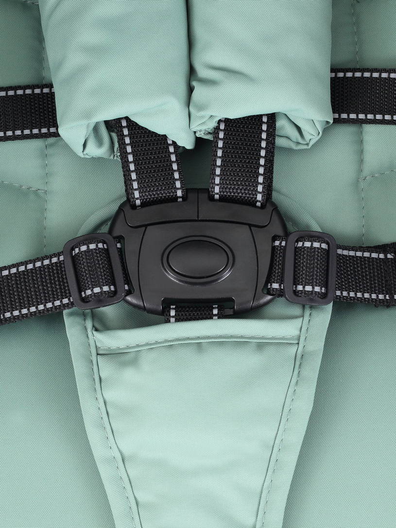 Коляска прогулочная Rant Volt Forest green