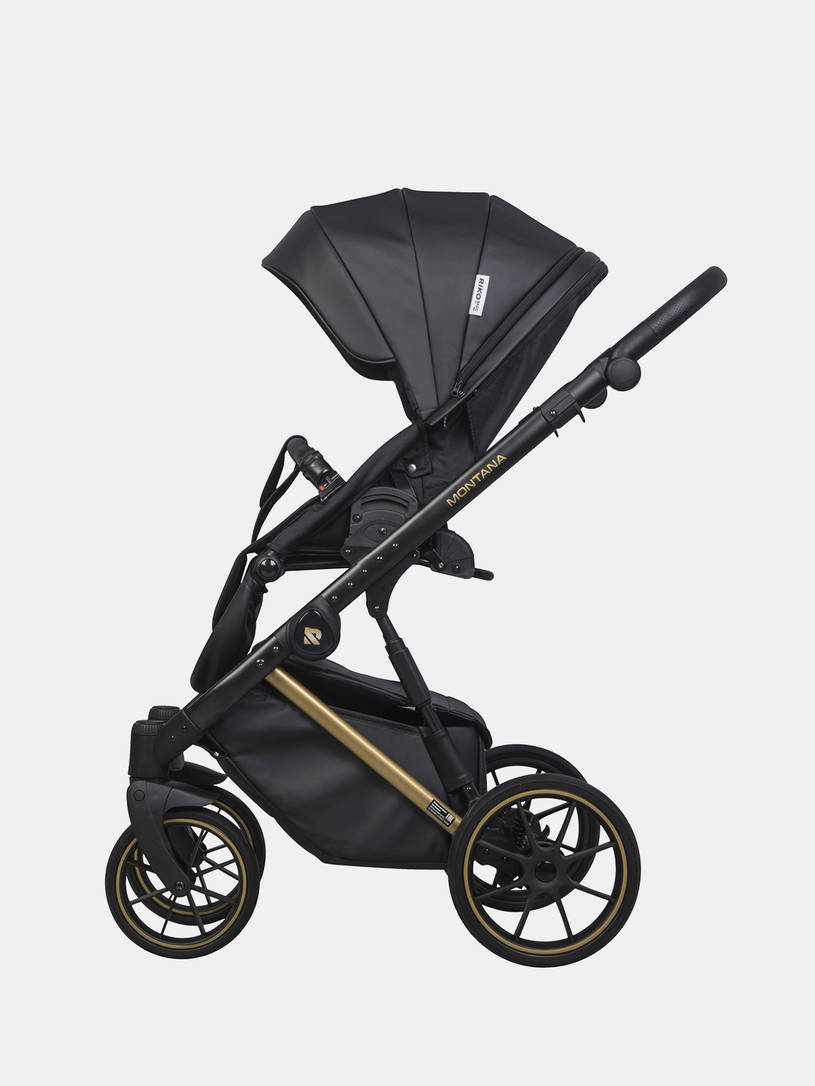 Коляска 2 в 1 Riko Basic Montana Premium Gold 02