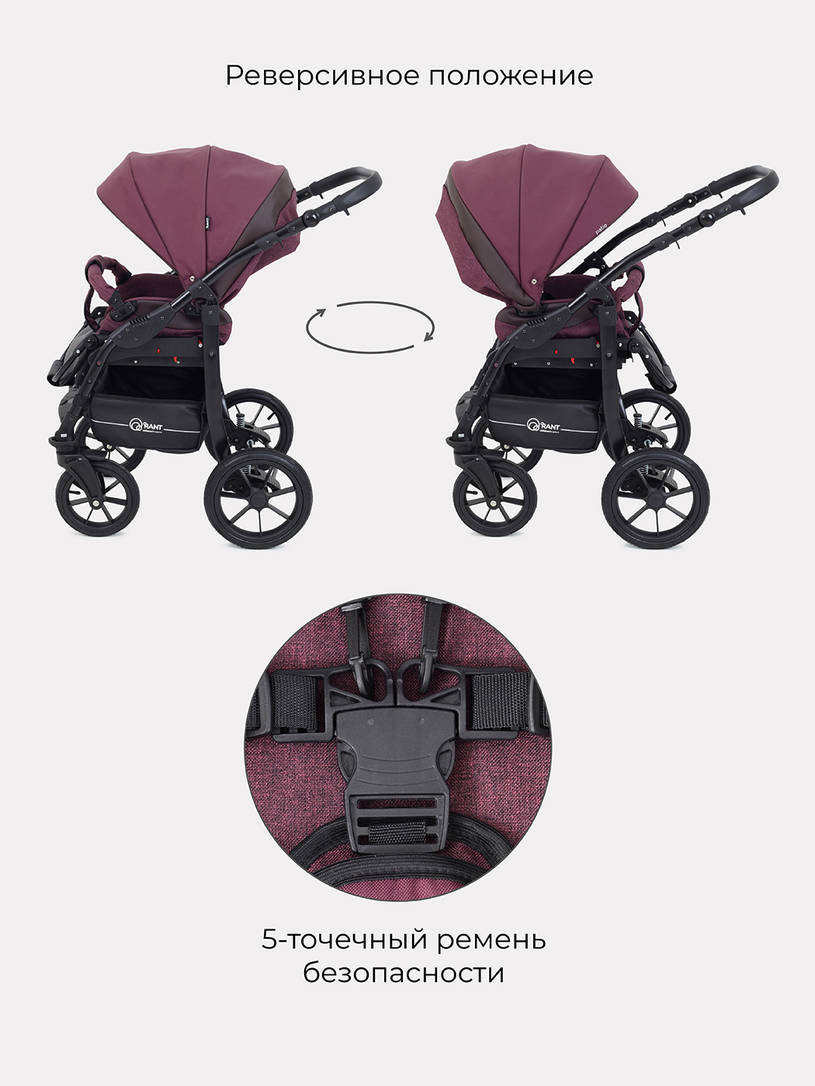 Коляска 2 в 1 Rant Patio Purple