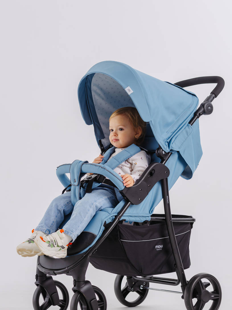 Коляска прогулочная Mowbaby Cross 2024 blue