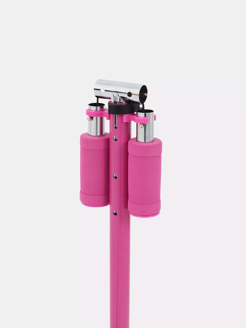 Самокат 2-х колесный Rant Colibri Pink