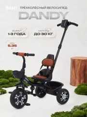 Велосипед 3-х колесный Rant Basic Dandy Black