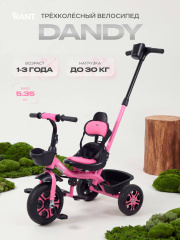 Велосипед 3-колесный Rant Basic Dandy Pink