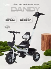 Велосипед 3-х колесный Rant Basic Dandy White