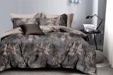 КПБ Dream Fly 2 спальный DF02-459-50 код1179