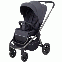 Коляска прогулочная Rant Flex Pro 2023 RA099 Graphite