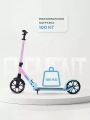 Самокат 2-колесный Rant Element PRO Blue-pink