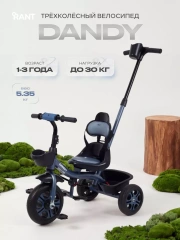 Велосипед 3-колесный Rant Basic Dandy Blue