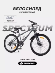 Велосипед 2-х колесный Rant Spectrum 24 графит