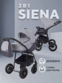 Коляска Rant Siena 2024 02 темно-серый - светло-серый