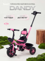 Велосипед 3-колесный Rant Basic Dandy Pink