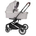 Коляска 2 в 1 Rant Brilliant Mineral Silver серый