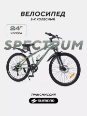 Велосипед 2-х колесный Rant Spectrum 24 оливковый