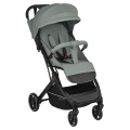 Коляска прогулочная Indigo TRIP зеленый